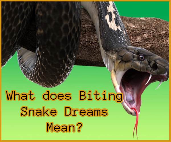 Biting Snake dreams